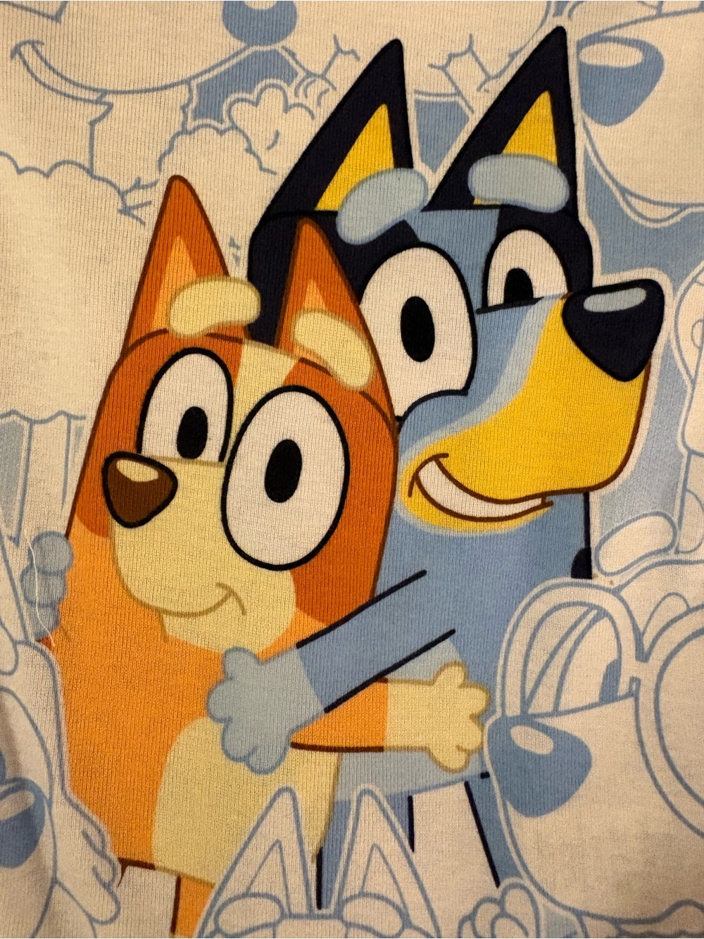 Kids Blue and Orange Cartoon Dog Pajama Set